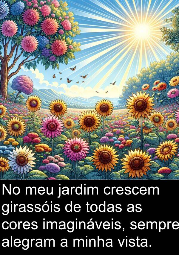 girassóis: No meu jardim crescem girassóis de todas as cores imagináveis, sempre alegram a minha vista.