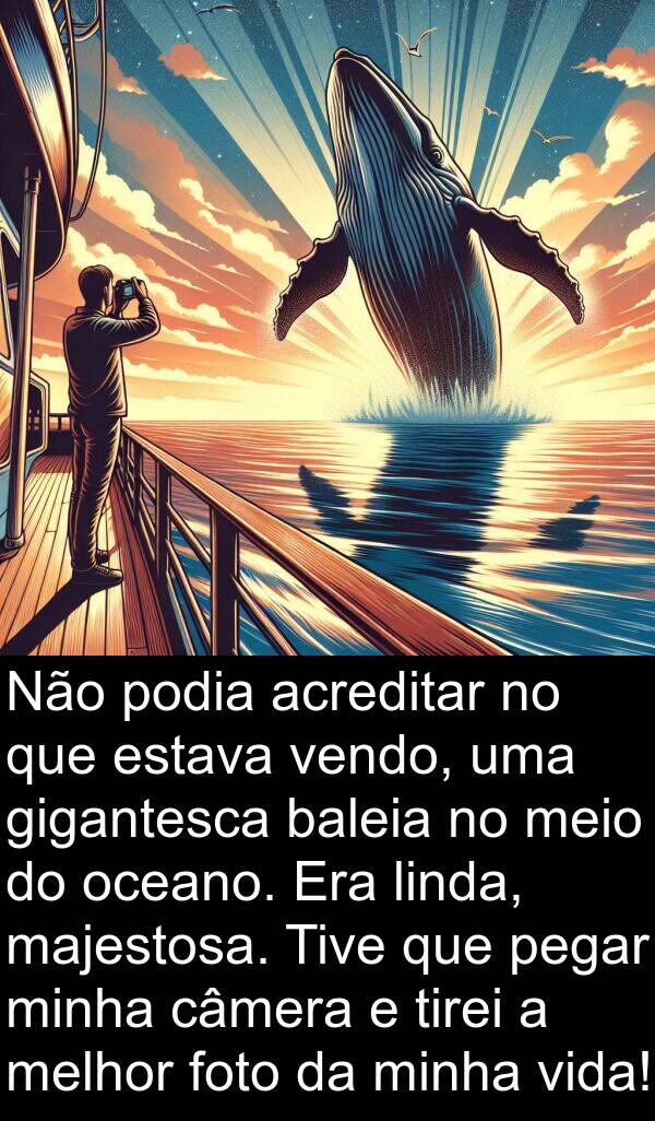 majestosa: Não podia acreditar no que estava vendo, uma gigantesca baleia no meio do oceano. Era linda, majestosa. Tive que pegar minha câmera e tirei a melhor foto da minha vida!