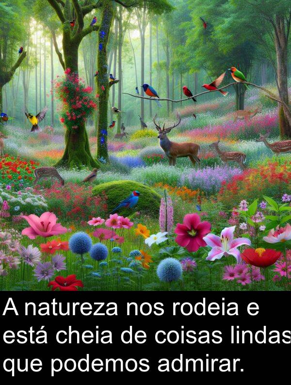 natureza: A natureza nos rodeia e está cheia de coisas lindas que podemos admirar.