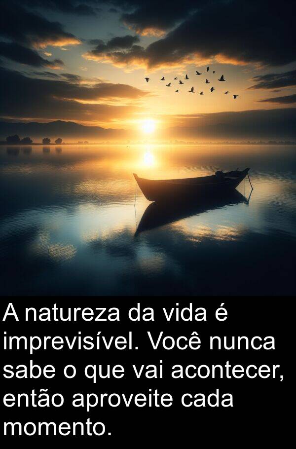 vai: A natureza da vida é imprevisível. Você nunca sabe o que vai acontecer, então aproveite cada momento.