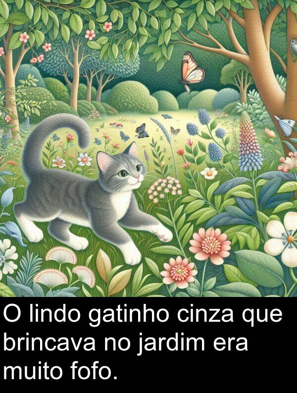 era: O lindo gatinho cinza que brincava no jardim era muito fofo.