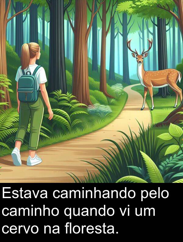 quando: Estava caminhando pelo caminho quando vi um cervo na floresta.