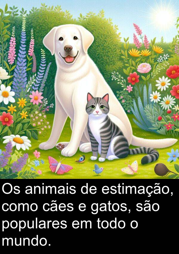 gatos: Os animais de estimação, como cães e gatos, são populares em todo o mundo.