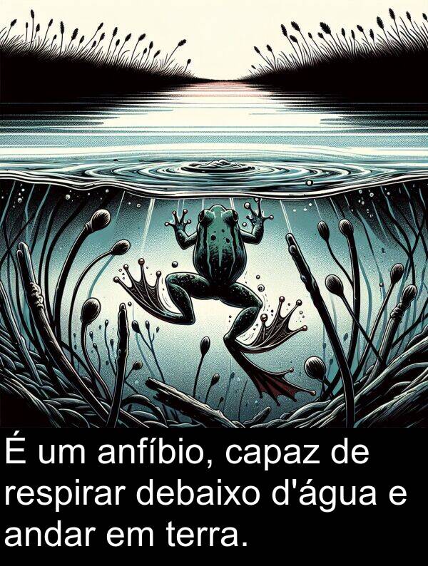 debaixo: É um anfíbio, capaz de respirar debaixo d'água e andar em terra.