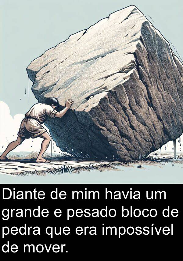 bloco: Diante de mim havia um grande e pesado bloco de pedra que era impossível de mover.