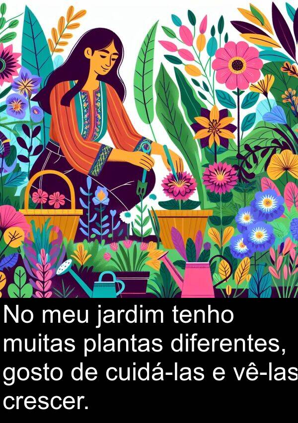 diferentes: No meu jardim tenho muitas plantas diferentes, gosto de cuidá-las e vê-las crescer.