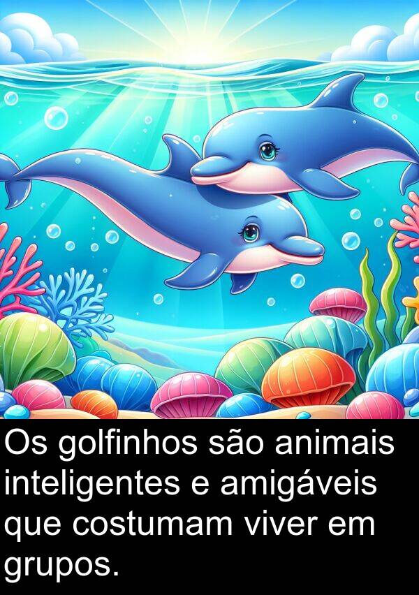 golfinhos: Os golfinhos são animais inteligentes e amigáveis que costumam viver em grupos.