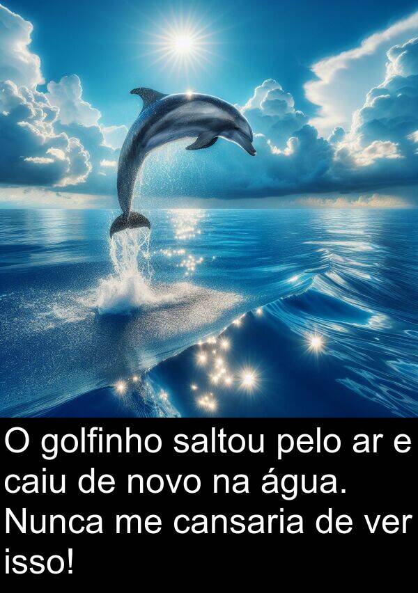 golfinho: O golfinho saltou pelo ar e caiu de novo na água. Nunca me cansaria de ver isso!