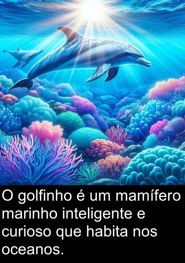 golfinho: O golfinho é um mamífero marinho inteligente e curioso que habita nos oceanos.