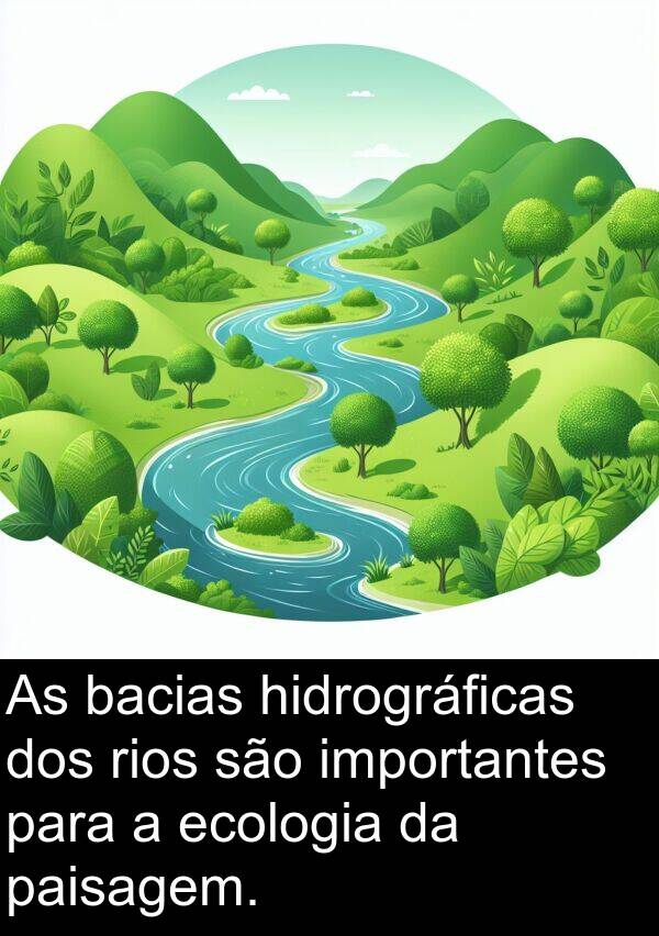 importantes: As bacias hidrográficas dos rios são importantes para a ecologia da paisagem.