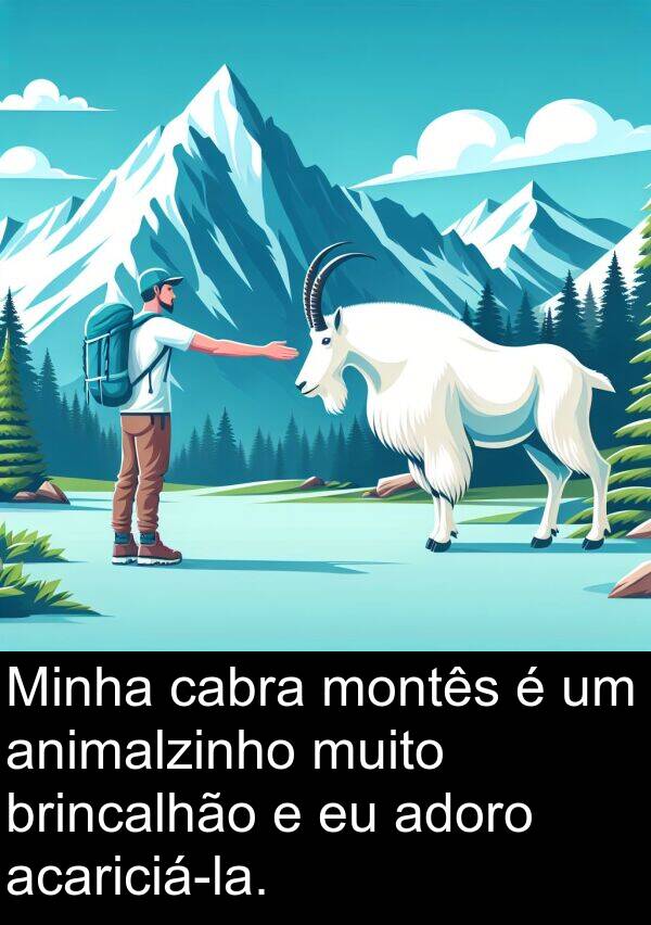 cabra: Minha cabra montês é um animalzinho muito brincalhão e eu adoro acariciá-la.