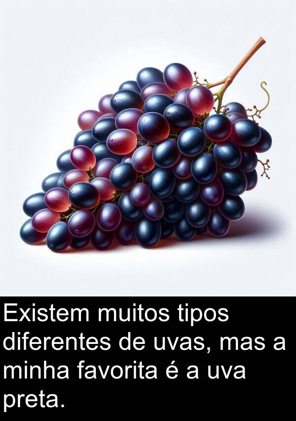 mas: Existem muitos tipos diferentes de uvas, mas a minha favorita é a uva preta.