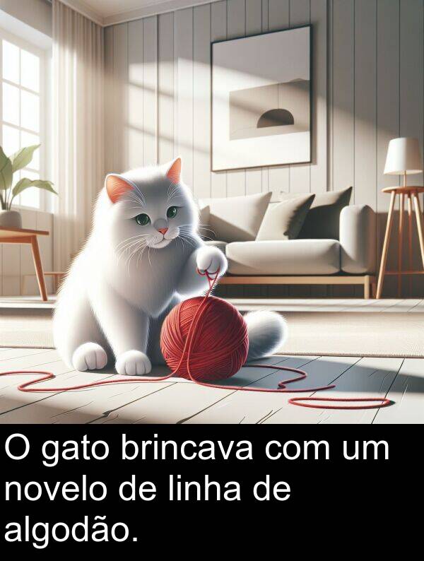 gato: O gato brincava com um novelo de linha de algodão.