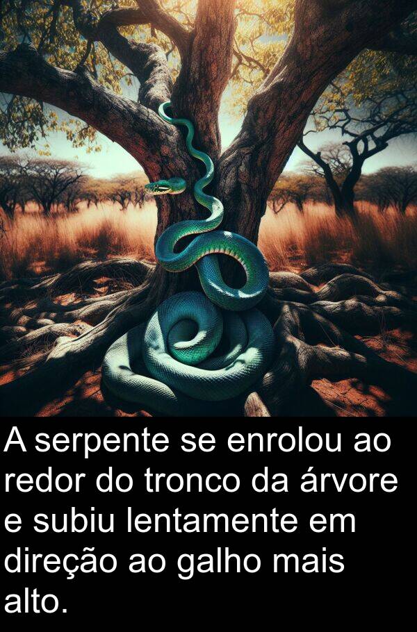 galho: A serpente se enrolou ao redor do tronco da árvore e subiu lentamente em direção ao galho mais alto.