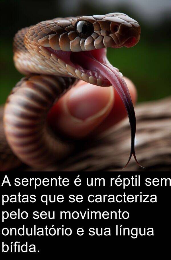 patas: A serpente é um réptil sem patas que se caracteriza pelo seu movimento ondulatório e sua língua bífida.