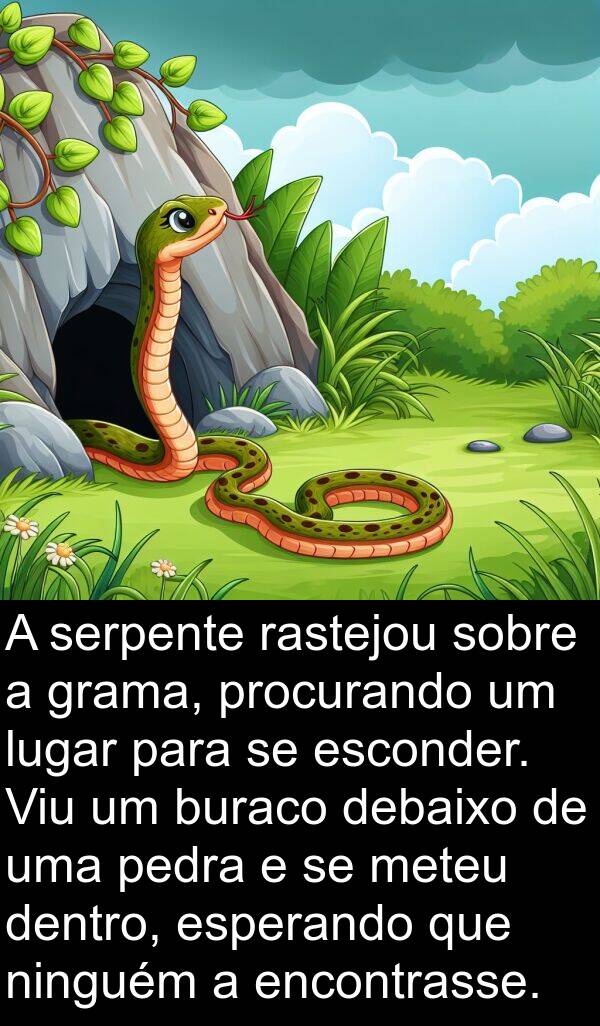 debaixo: A serpente rastejou sobre a grama, procurando um lugar para se esconder. Viu um buraco debaixo de uma pedra e se meteu dentro, esperando que ninguém a encontrasse.