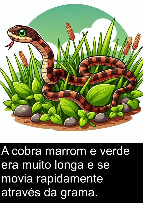 verde: A cobra marrom e verde era muito longa e se movia rapidamente através da grama.