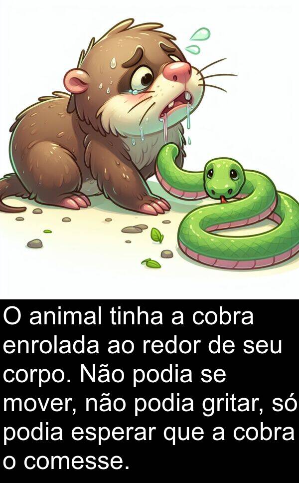 podia: O animal tinha a cobra enrolada ao redor de seu corpo. Não podia se mover, não podia gritar, só podia esperar que a cobra o comesse.