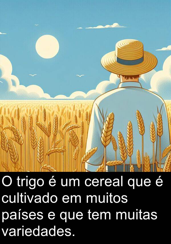 variedades: O trigo é um cereal que é cultivado em muitos países e que tem muitas variedades.