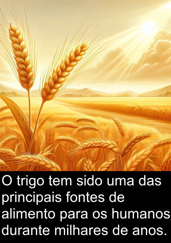 humanos: O trigo tem sido uma das principais fontes de alimento para os humanos durante milhares de anos.