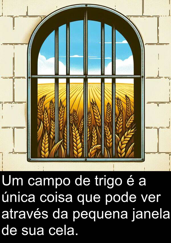 única: Um campo de trigo é a única coisa que pode ver através da pequena janela de sua cela.