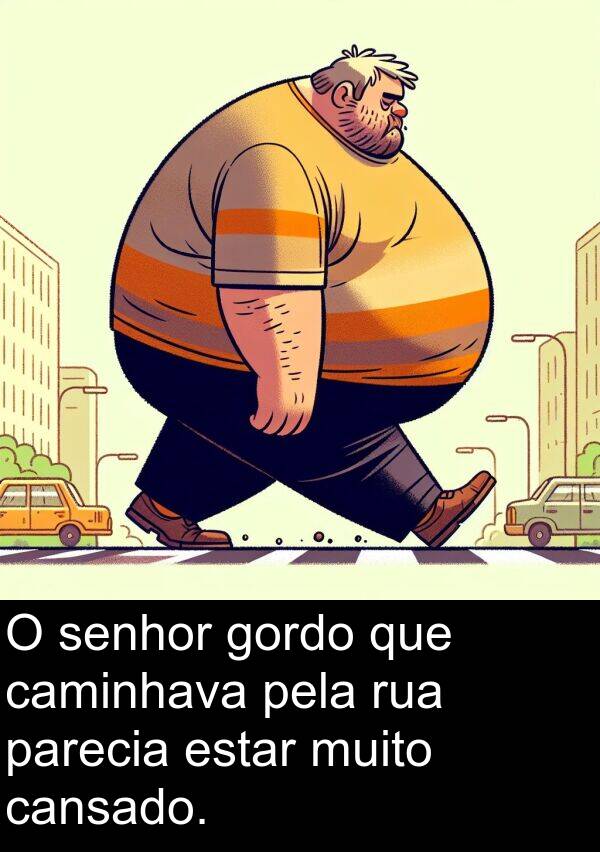 parecia: O senhor gordo que caminhava pela rua parecia estar muito cansado.