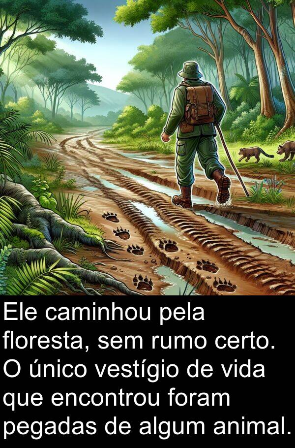 vestígio: Ele caminhou pela floresta, sem rumo certo. O único vestígio de vida que encontrou foram pegadas de algum animal.