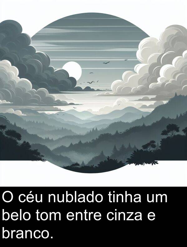 nublado: O céu nublado tinha um belo tom entre cinza e branco.