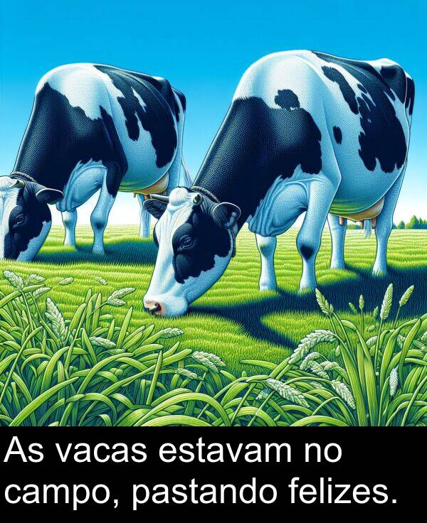 vacas: As vacas estavam no campo, pastando felizes.