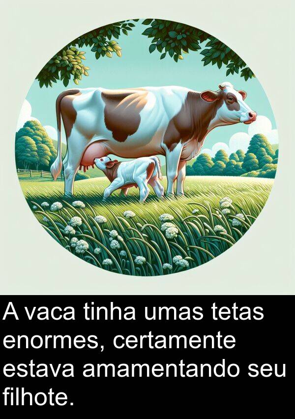 vaca: A vaca tinha umas tetas enormes, certamente estava amamentando seu filhote.