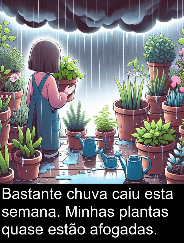 semana: Bastante chuva caiu esta semana. Minhas plantas quase estão afogadas.