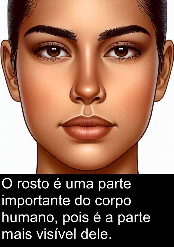 humano: O rosto é uma parte importante do corpo humano, pois é a parte mais visível dele.