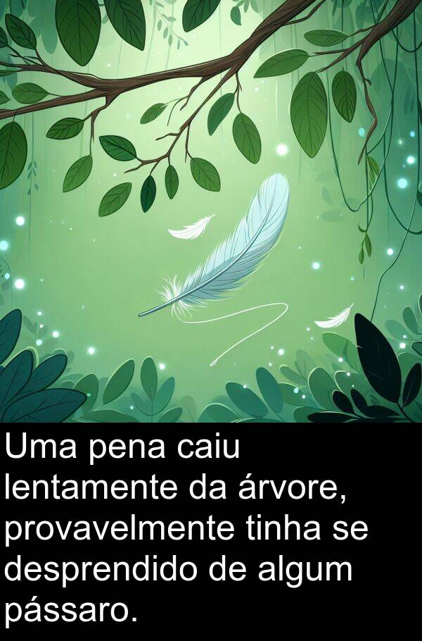 lentamente: Uma pena caiu lentamente da árvore, provavelmente tinha se desprendido de algum pássaro.