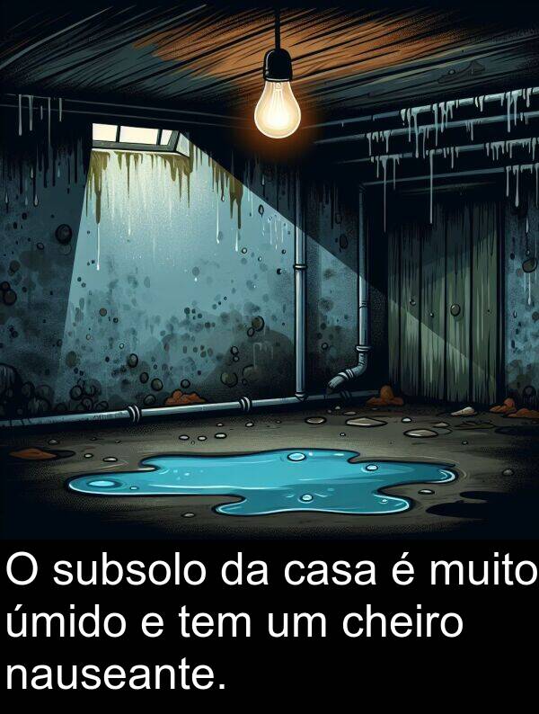 úmido: O subsolo da casa é muito úmido e tem um cheiro nauseante.