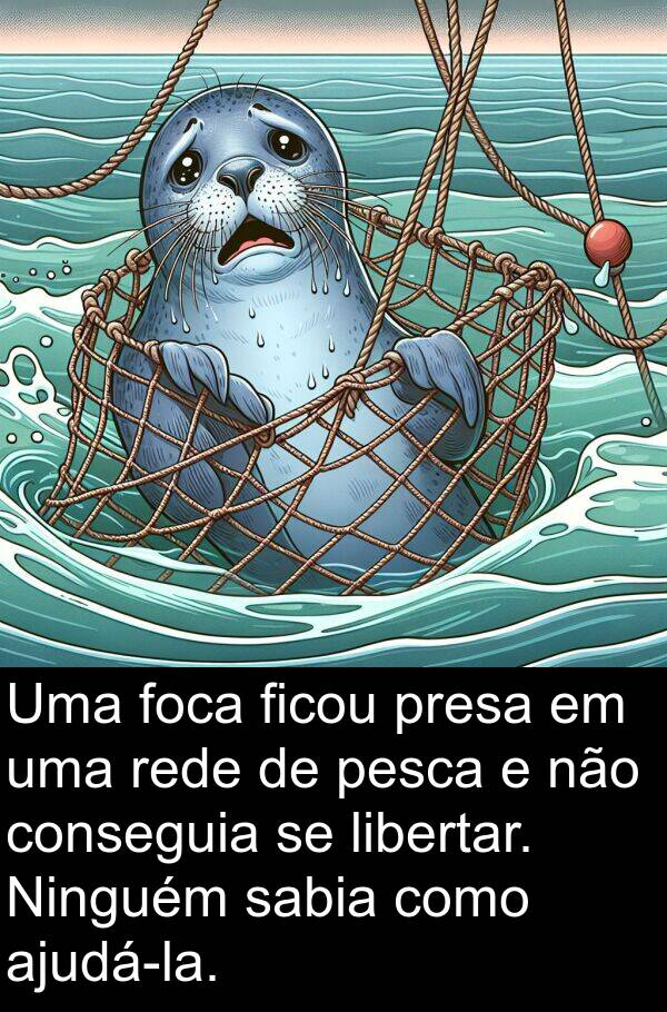 libertar: Uma foca ficou presa em uma rede de pesca e não conseguia se libertar. Ninguém sabia como ajudá-la.