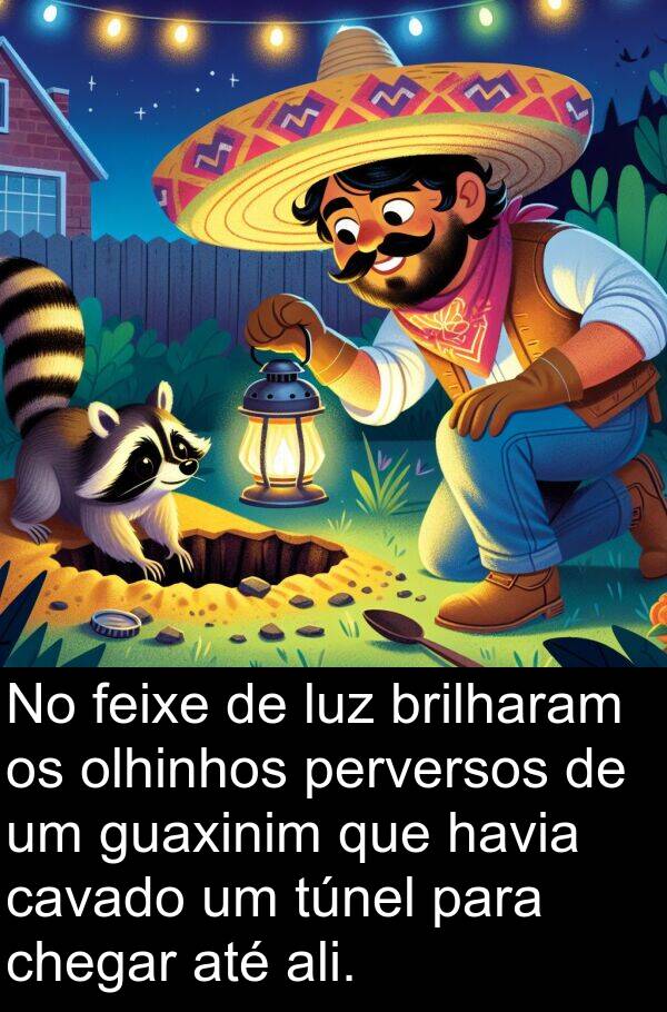 feixe: No feixe de luz brilharam os olhinhos perversos de um guaxinim que havia cavado um túnel para chegar até ali.