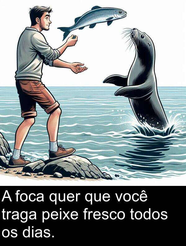 quer: A foca quer que você traga peixe fresco todos os dias.