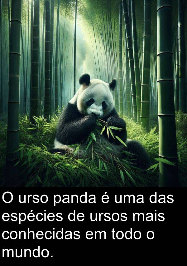 urso: O urso panda é uma das espécies de ursos mais conhecidas em todo o mundo.