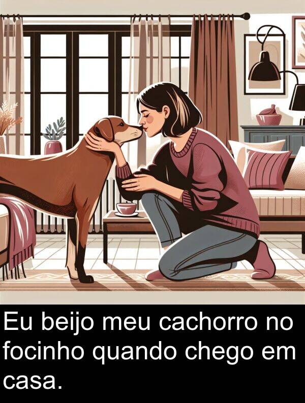 beijo: Eu beijo meu cachorro no focinho quando chego em casa.