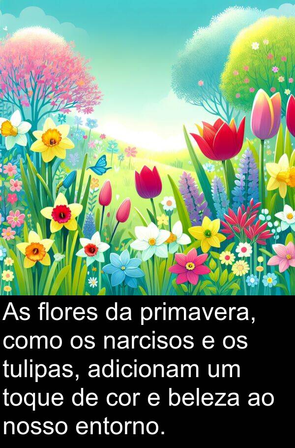 nosso: As flores da primavera, como os narcisos e os tulipas, adicionam um toque de cor e beleza ao nosso entorno.