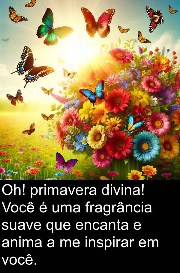 primavera: Oh! primavera divina! Você é uma fragrância suave que encanta e anima a me inspirar em você.