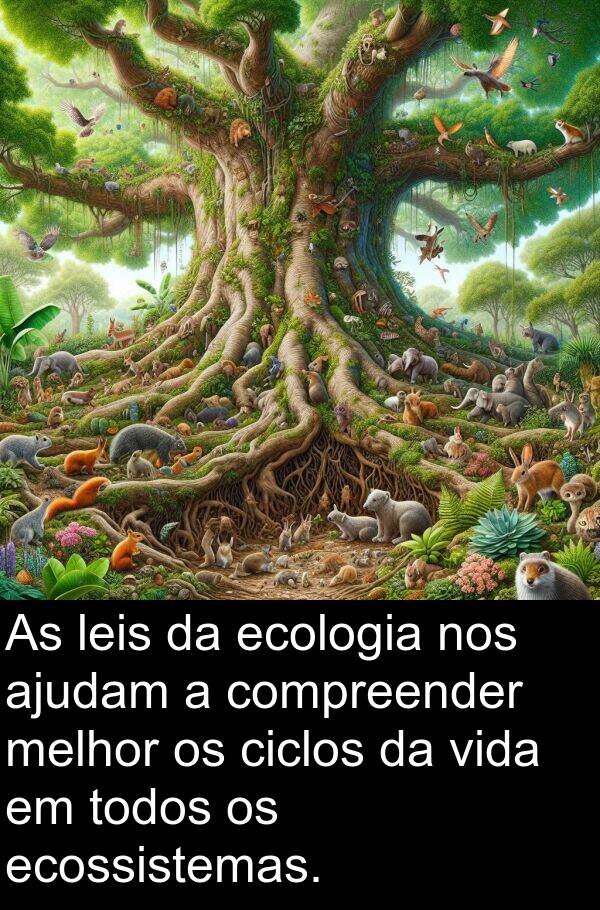 leis: As leis da ecologia nos ajudam a compreender melhor os ciclos da vida em todos os ecossistemas.