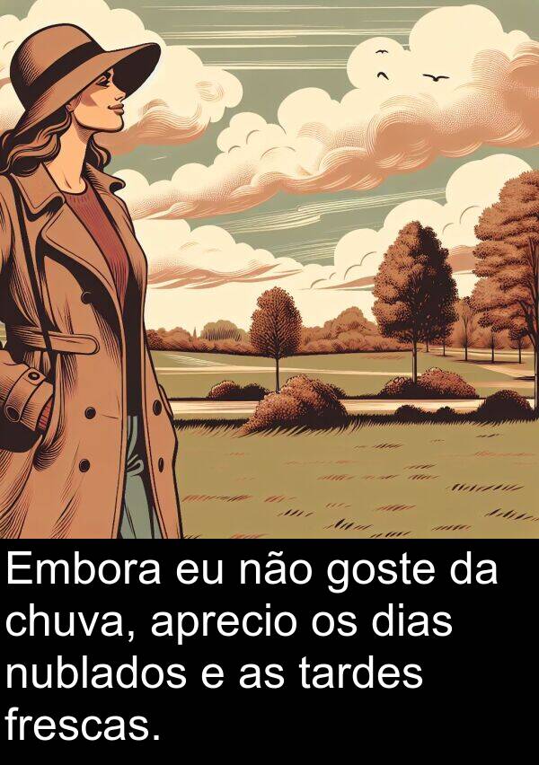 goste: Embora eu não goste da chuva, aprecio os dias nublados e as tardes frescas.