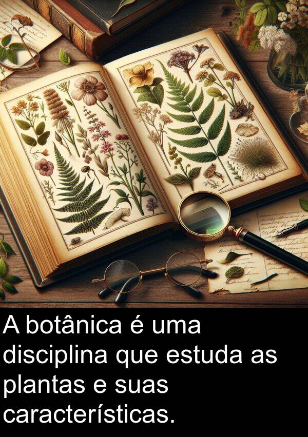 características: A botânica é uma disciplina que estuda as plantas e suas características.