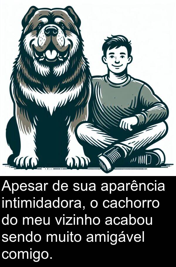 acabou: Apesar de sua aparência intimidadora, o cachorro do meu vizinho acabou sendo muito amigável comigo.