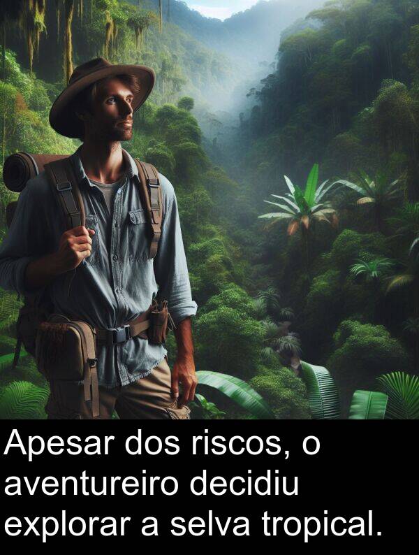 decidiu: Apesar dos riscos, o aventureiro decidiu explorar a selva tropical.