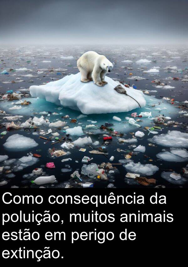 perigo: Como consequência da poluição, muitos animais estão em perigo de extinção.