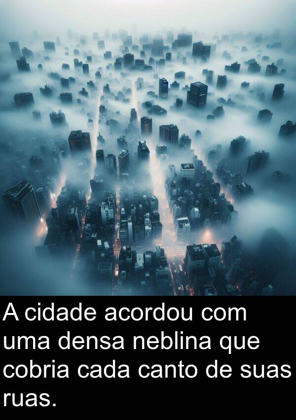 acordou: A cidade acordou com uma densa neblina que cobria cada canto de suas ruas.