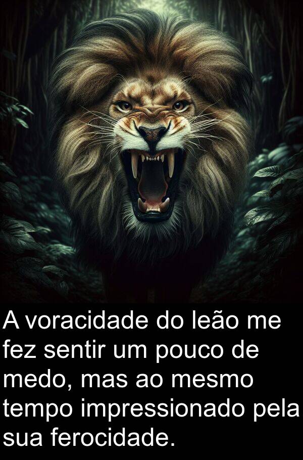 leão: A voracidade do leão me fez sentir um pouco de medo, mas ao mesmo tempo impressionado pela sua ferocidade.