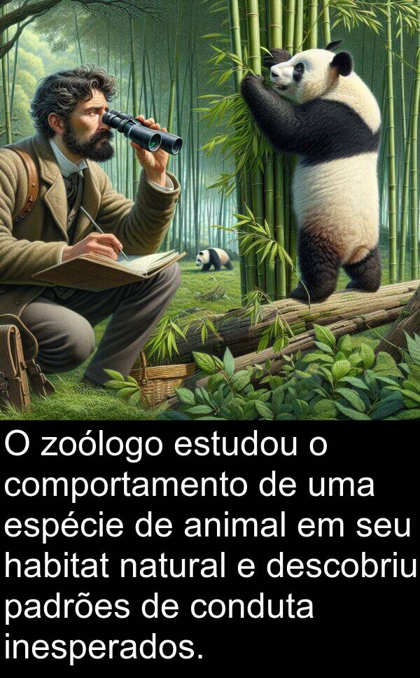 habitat: O zoólogo estudou o comportamento de uma espécie de animal em seu habitat natural e descobriu padrões de conduta inesperados.